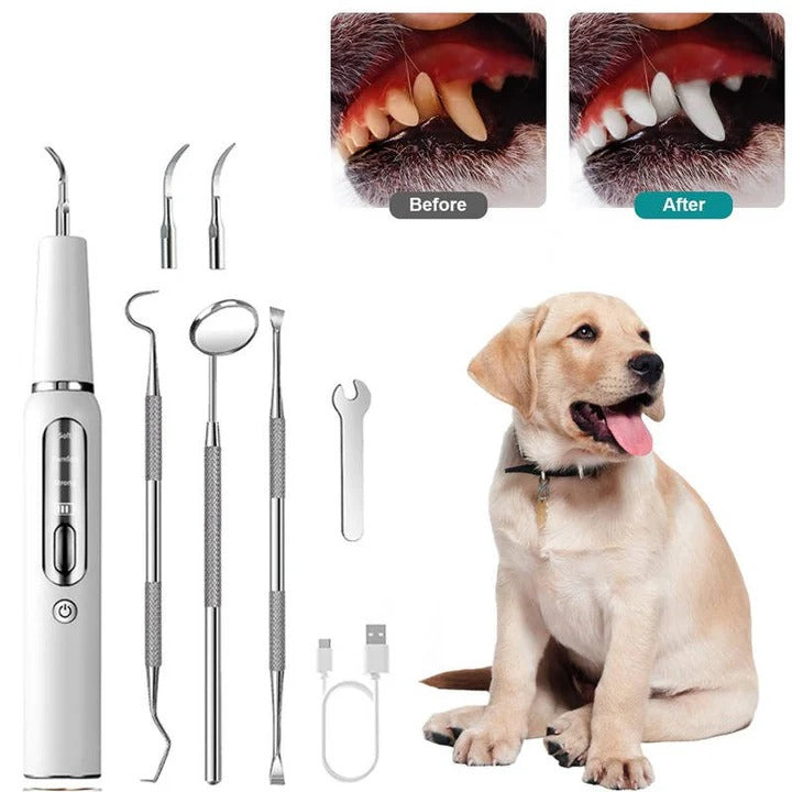 BowLift | Pet Oral Cleaning Tool for Fresh Breath & Grooming Care