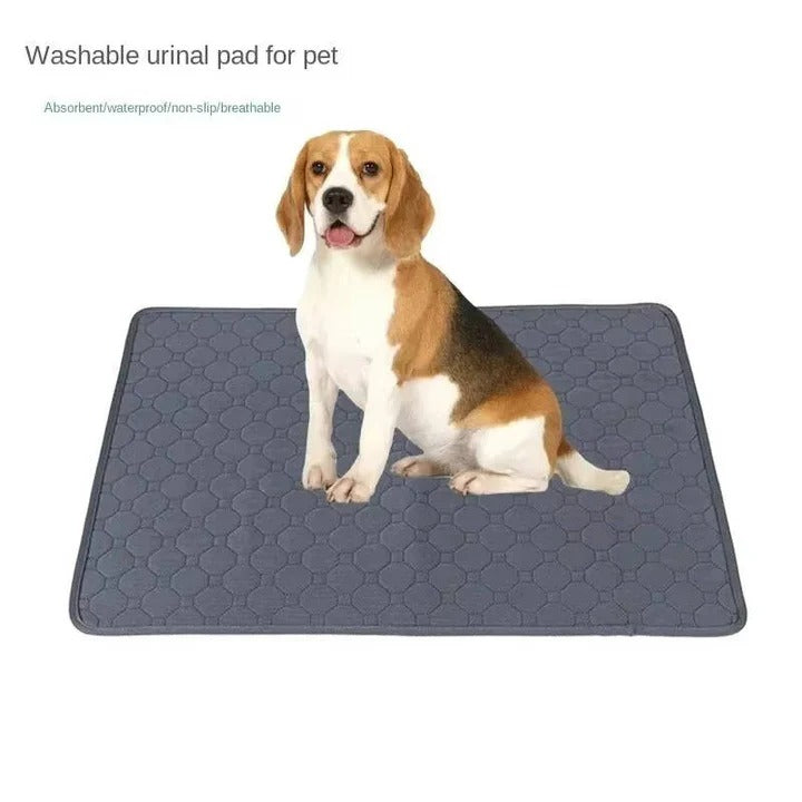 BowLift | Reusable and Disposable Dog Training Pee Pads