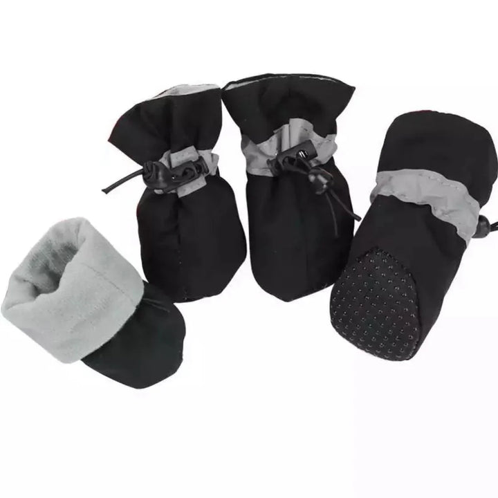Winter Paw Protection – Paw Walks Bowlift