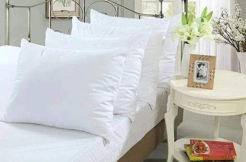 BowLift | Waterproof Pillowcase for Bed Bug Control