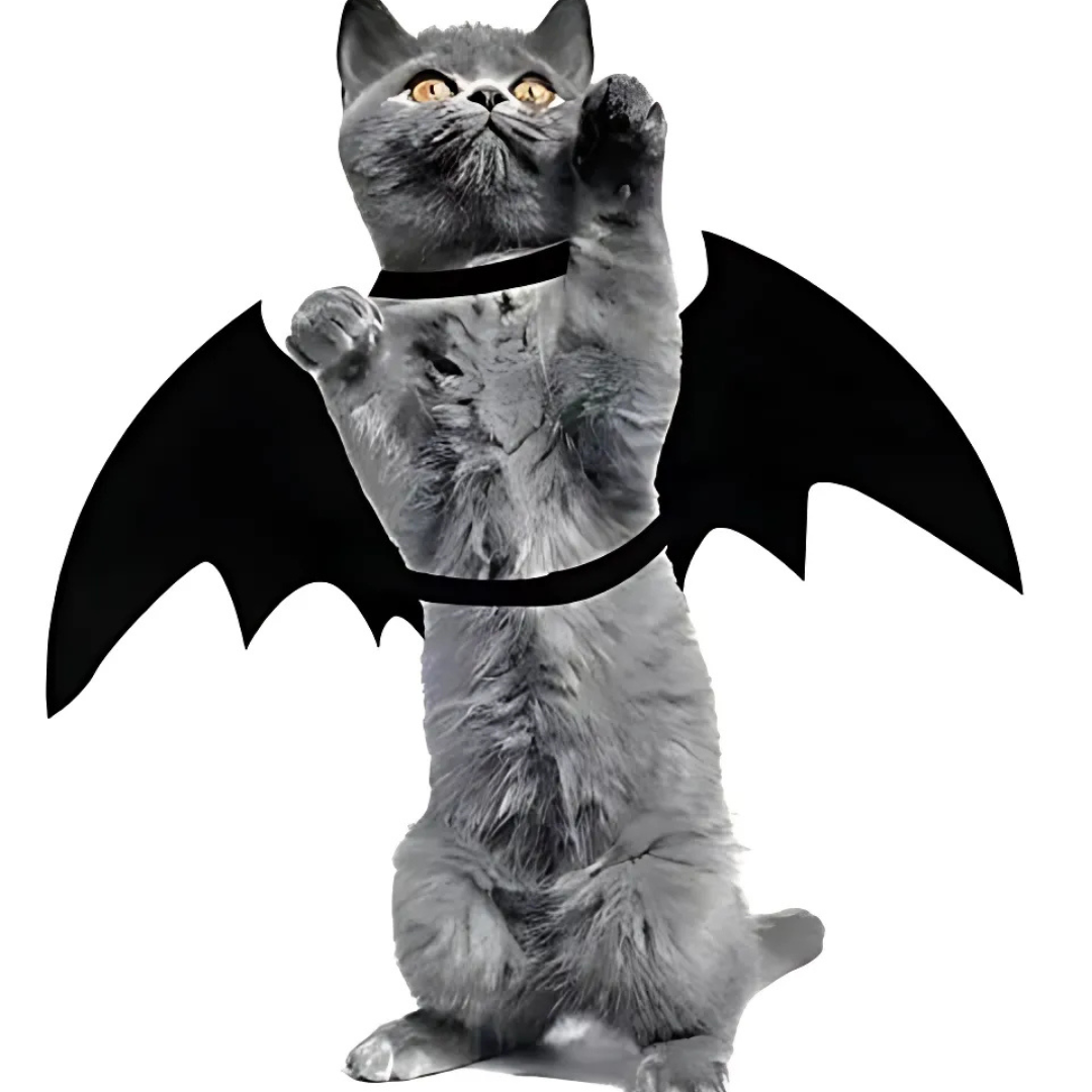 BowLift | Spooky Halloween Pets Bat Wings