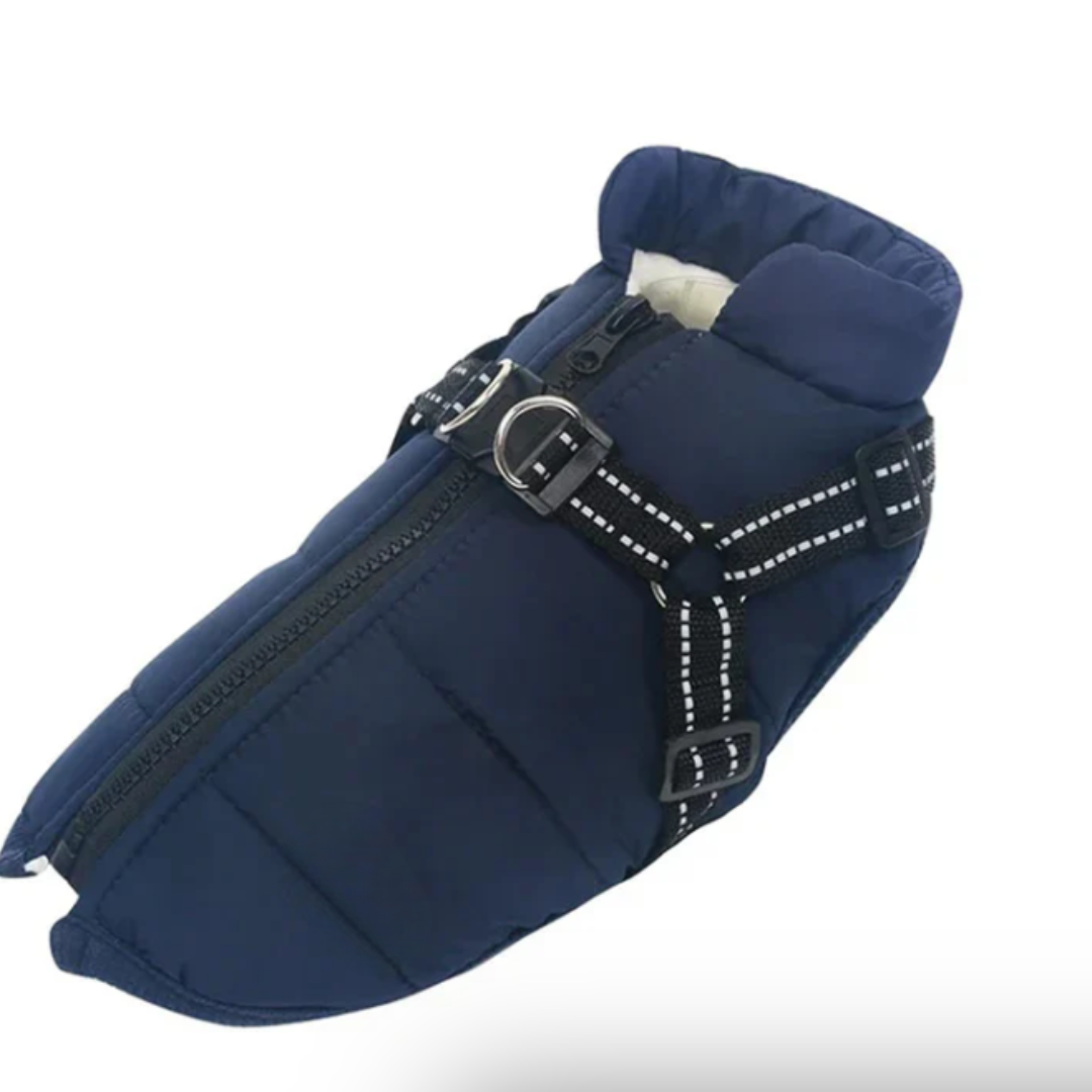 BowLift | Dog Coat Harness Winter Walks