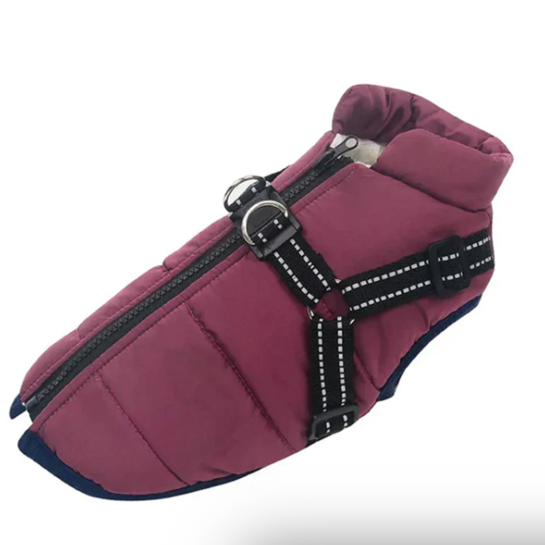 BowLift | Dog Coat Harness Winter Walks