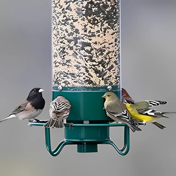 BowLift | Squirrel-Proof Bird Feeder