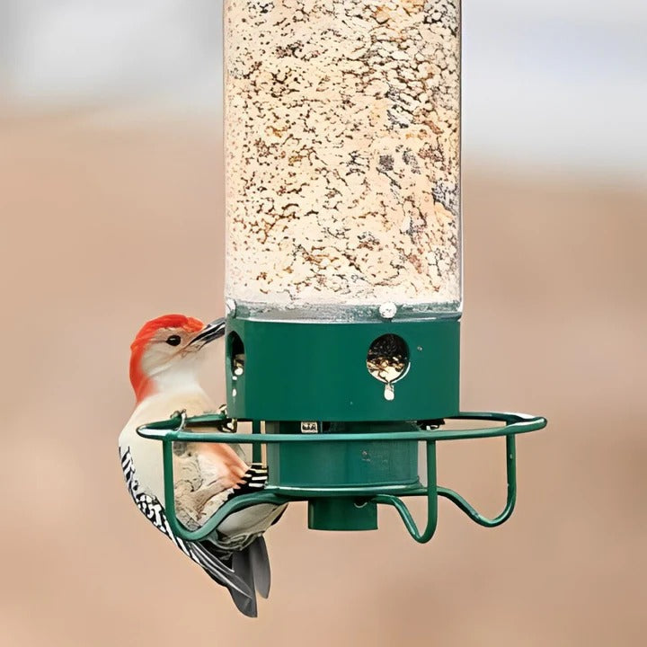 BowLift | Squirrel-Proof Bird Feeder