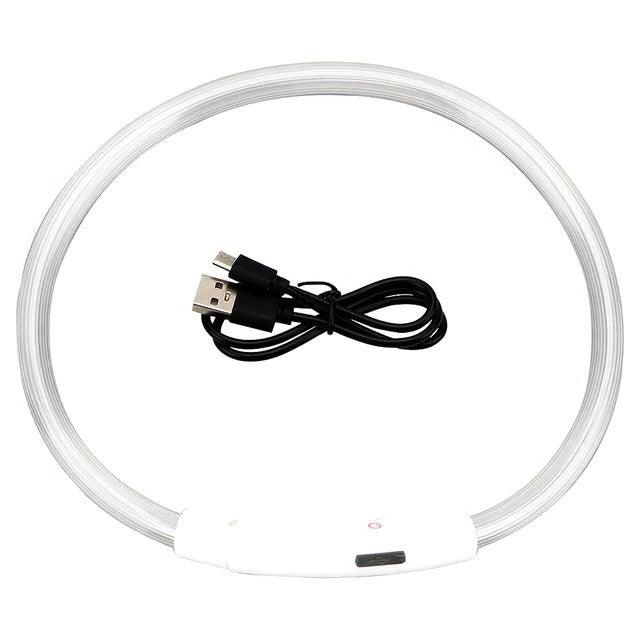 BowLift | Light Up Dog Collar, USB Rechargeable LED Glowing Collar