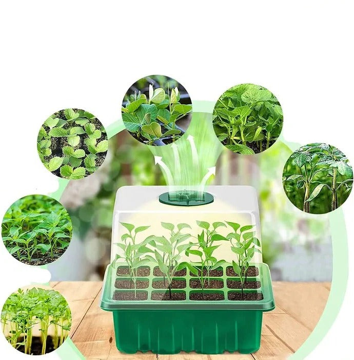 BowLift | Household New Nursery Pot With Lamp