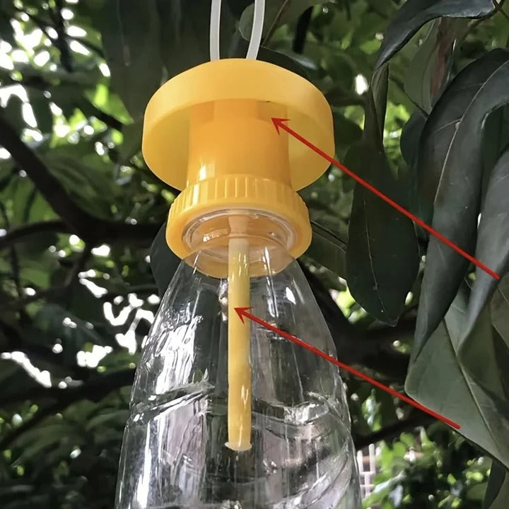 BowLift | Fruit Fly Trap with Hanging Cover