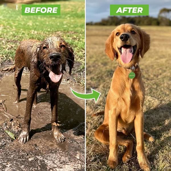 BowLift | Pet Bath Spray with All-Around Spray Function