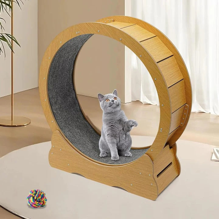 BowLift | Cat Exercise Wheel