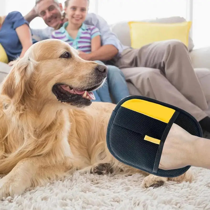 BowLift | PurrBrush Grooming Glove – Hair-Free Pet Care and Massage Moment