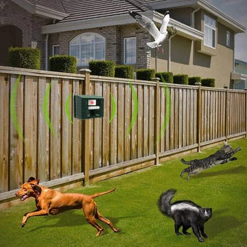 BowLift | Woodpecker Ultrasonic Repeller for Effective Bird Control - Get Rid of Woodpeckers