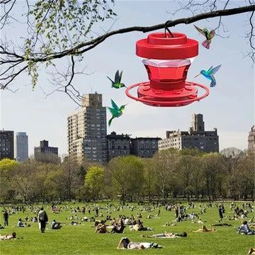 BowLift | Hanging Bee Proof Hummingbird Water Feeders with Perch