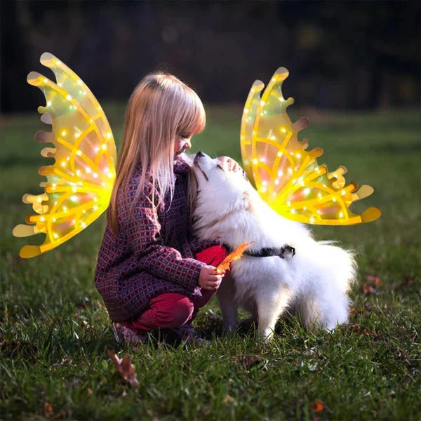 BowLift | Electric Colorful Kids / Adults LED Fairy Wings Costume