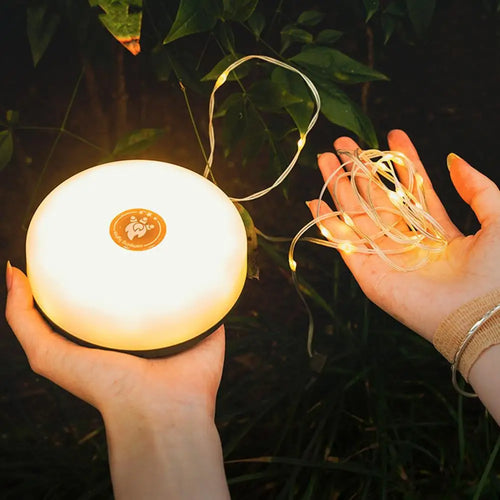 BowLift | MagicCamp USB Rechargeable Lights