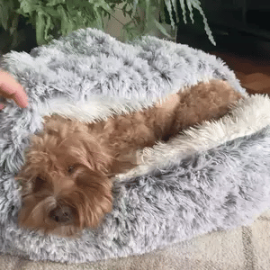 BowLift | Cozy Cave Pet Bed | Calming & Comfortable Dog Bed for Deep Relaxation