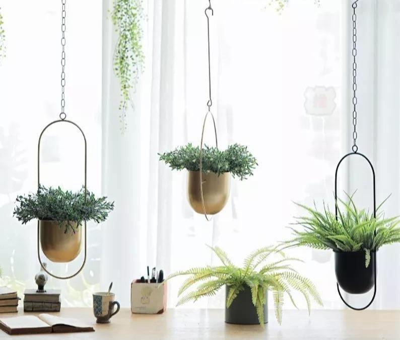 HaloRing Hanging Plant Holder – Metal Hanging Planter for Indoor and Outdoor | Bowlift