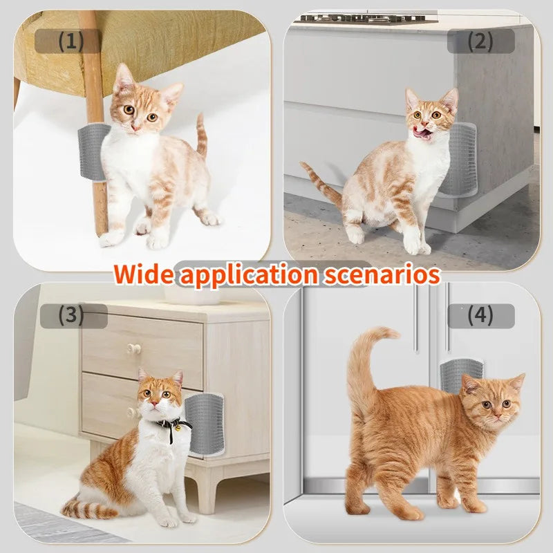 Cat Wall Brush with Catnip Bowlift