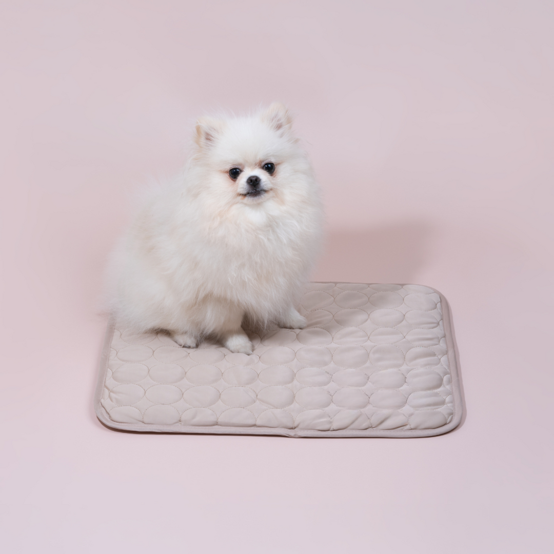 BowLift | Innovative Cooling Mat for Dogs (4x Cooling Power) - ChillComfort