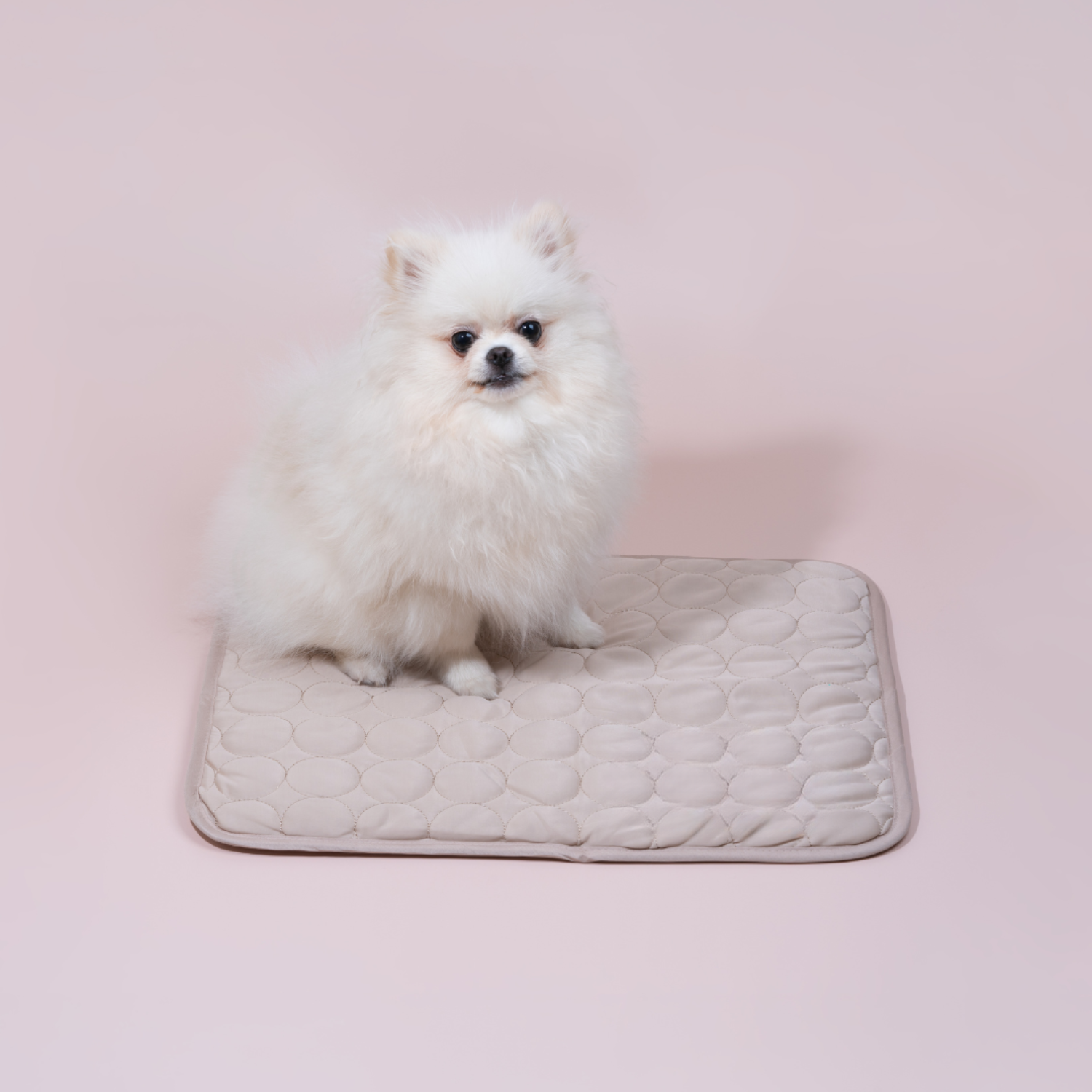 BowLift | Innovative Cooling Mat for Dogs (4x Cooling Power) - ChillComfort