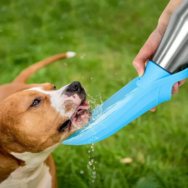 BowLift | Insulated Dog Water Bottle | Stainless Steel, Leak-Proof & Perfect for Travel and Outdoor Adventures
