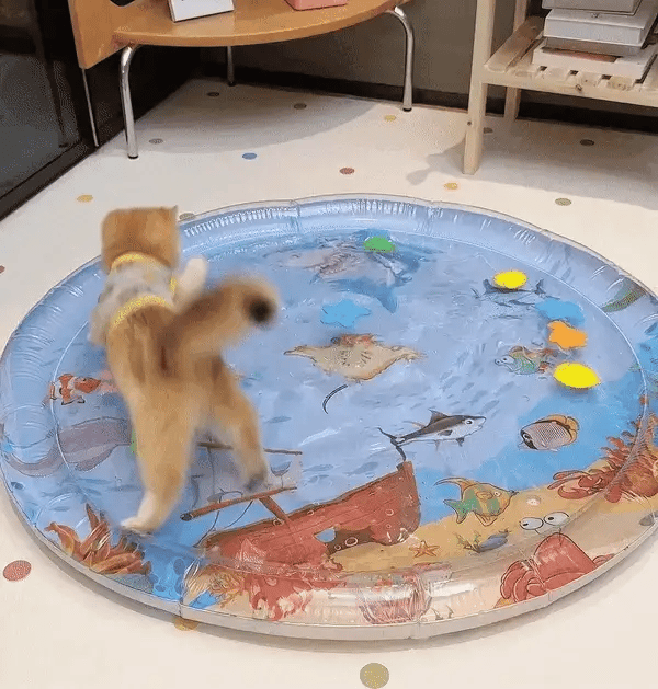 Interactive Cat Playmat - PurrPulse Bowlift