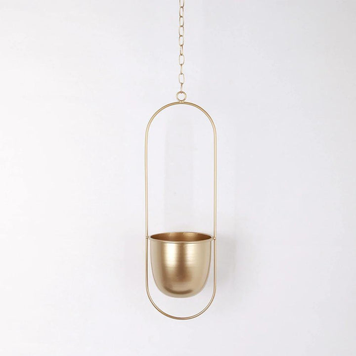 HaloRing Hanging Plant Holder – Metal Hanging Planter for Indoor and Outdoor | Bowlift