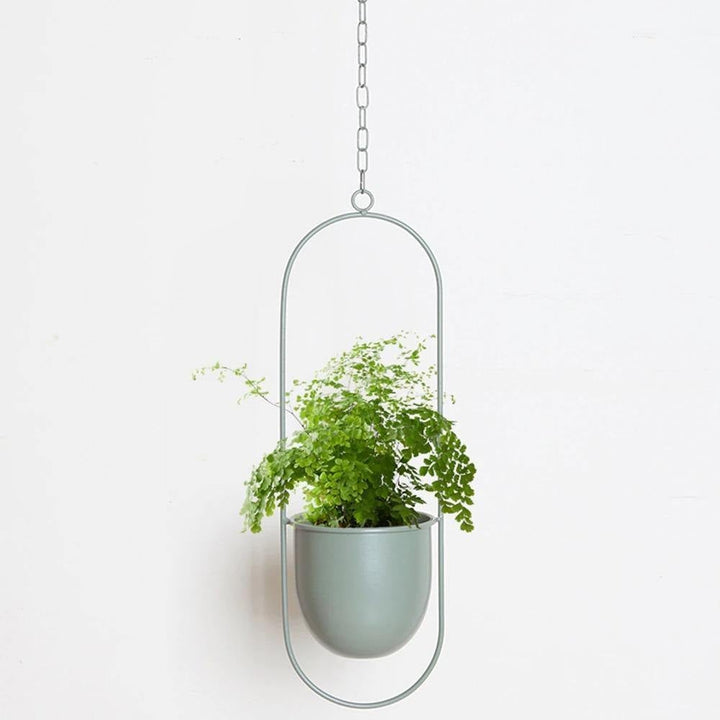 HaloRing Hanging Plant Holder – Metal Hanging Planter for Indoor and Outdoor | Bowlift