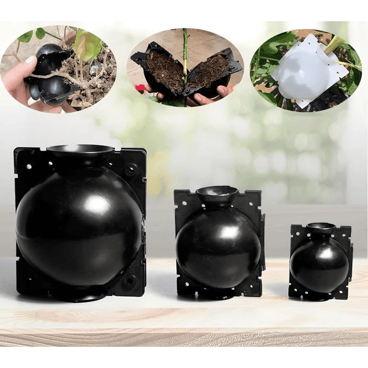 BowLift | RootGrow Pods | Easy Propagation Cloning Spheres for Plants
