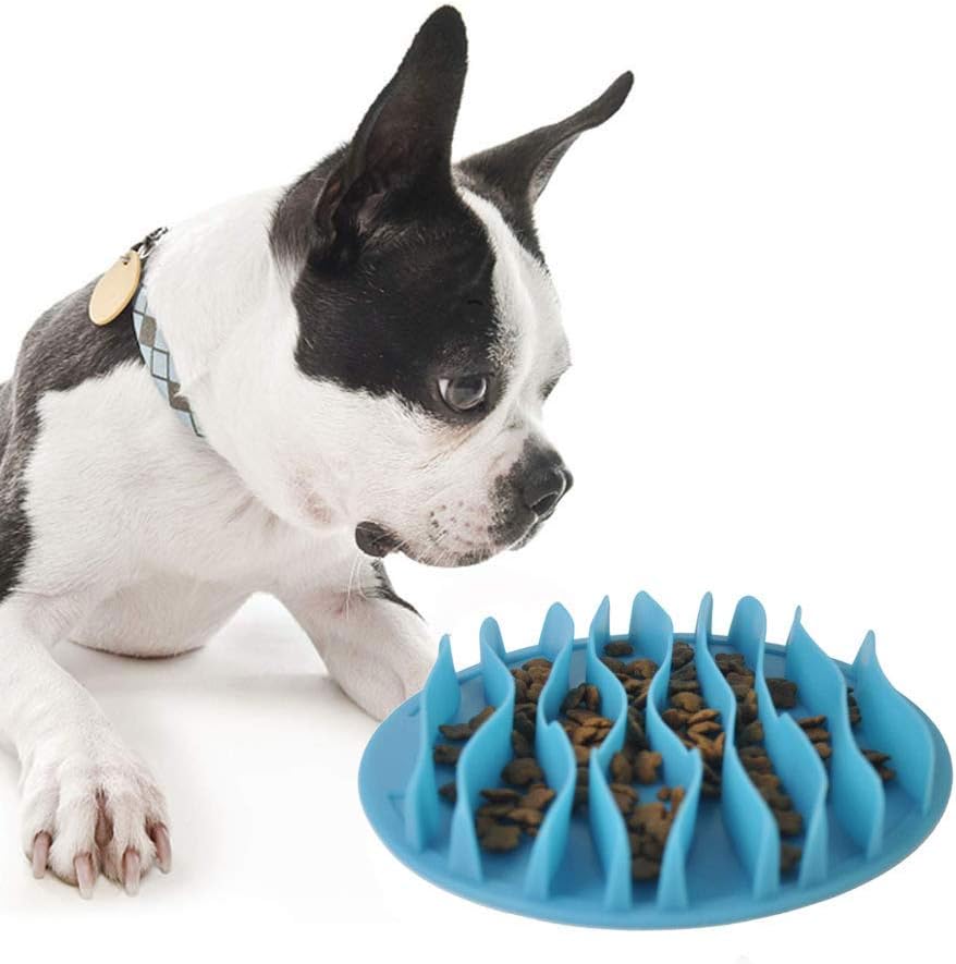 JungleMaze • Dog Feeding Bowl Slow - Dog Feeding Bowl Slow - BowLift