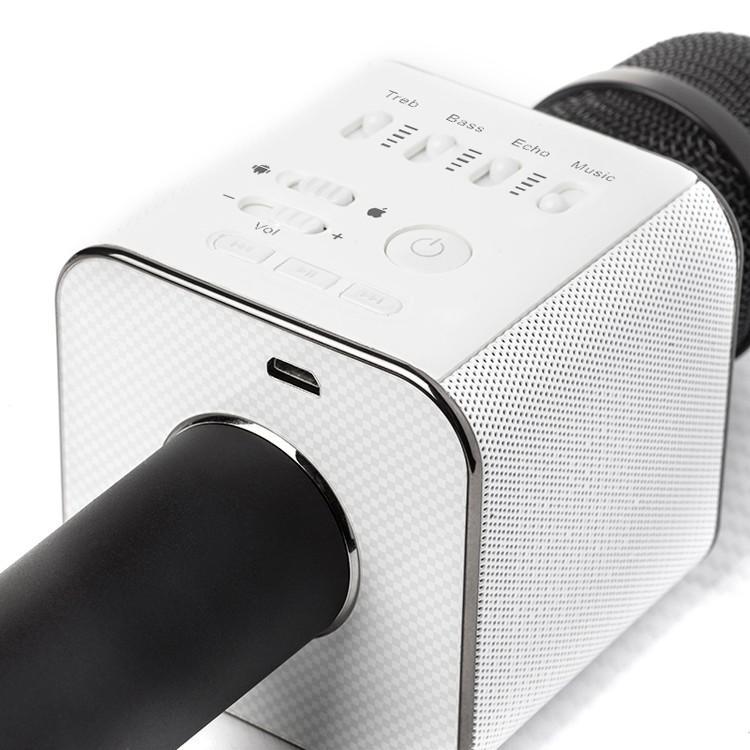 Karaoke Microphone Bluetooth with Speaker | Bowlift