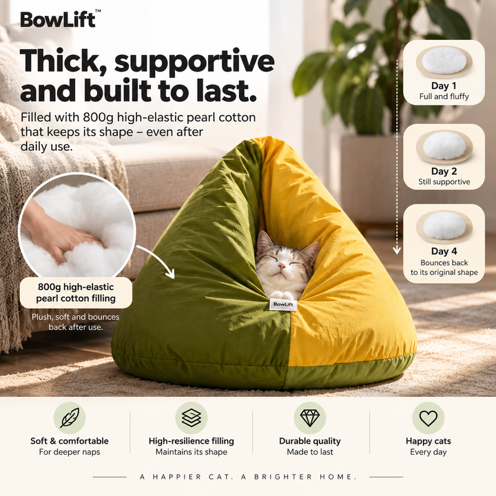 BowLift | Cozy Hideaway Cat Bed