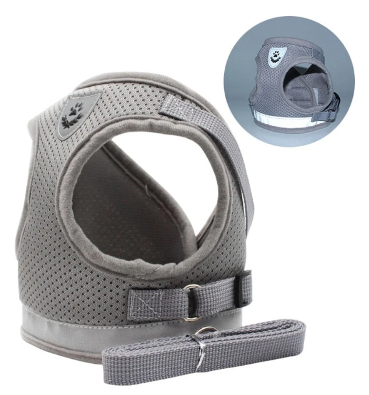 AdventureKit - Safe Harness for Adventurous Cats Bowlift