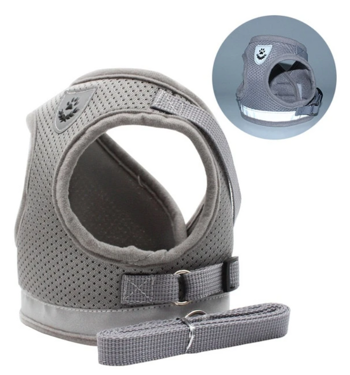 AdventureKit - Safe Harness for Adventurous Cats Bowlift