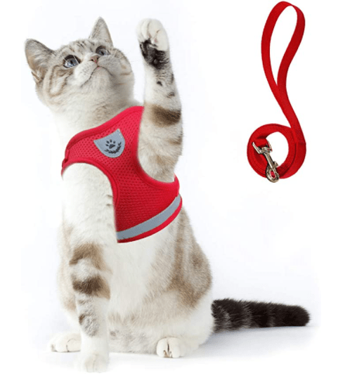 BowLift | ADVENTURE HARNESS – Escape-proof cat harness with leash & reflective elements
