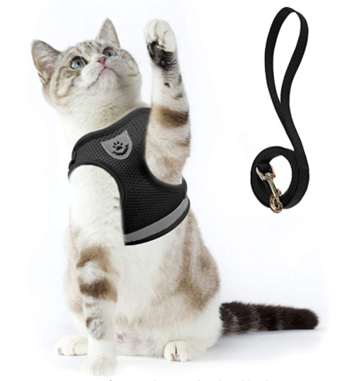 AdventureKit - Safe Harness for Adventurous Cats Bowlift