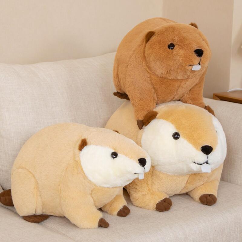 BowLift | Billy & Willy the Fluffy Brown Beaver Plushie