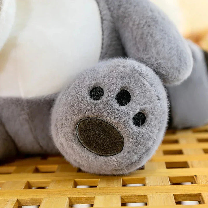 BowLift | Coonie and Goonie the Raccoon Plushie Buddies