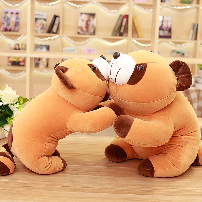 BowLift | Cooper the Brown Raccoon Plushie