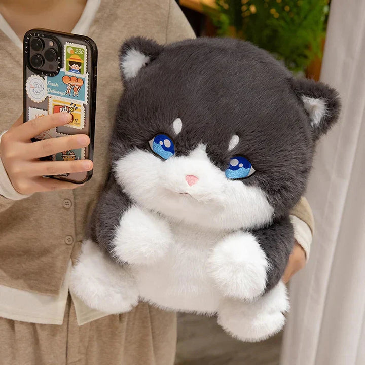 BowLift | Cute Chubby Gray Ginger Cat Plushies