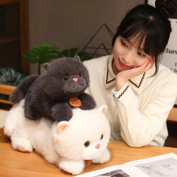 BowLift | Fluffy Kitten Squad Laying Plushies