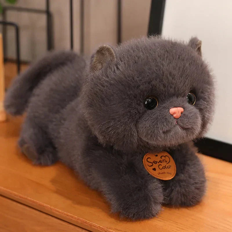 BowLift | Fluffy Kitten Squad Laying Plushies
