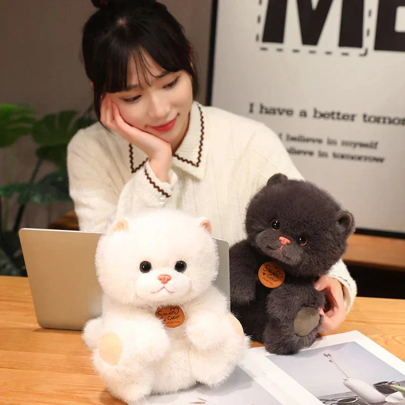 BowLift | Fluffy Kitten Squad Plushies