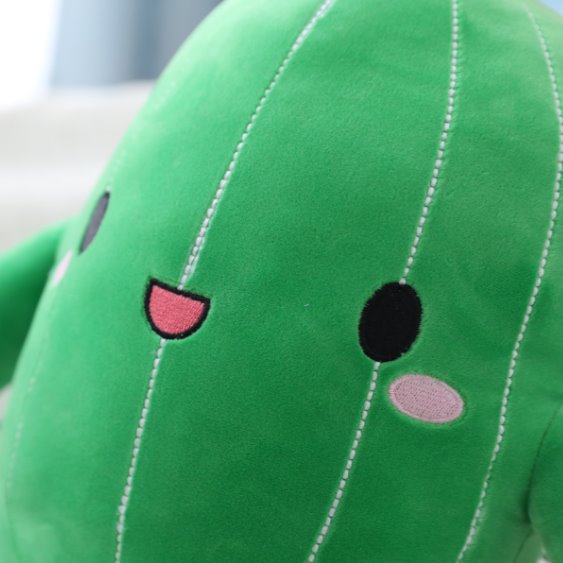 BowLift | Happy Cactus Friends