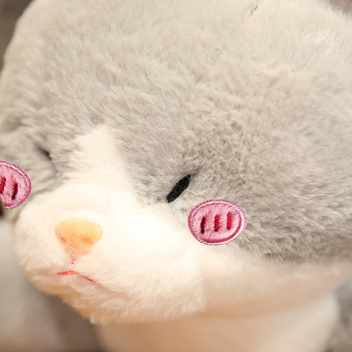 BowLift | Kawaii Grey Half Cat Half Shark Combo Plushie