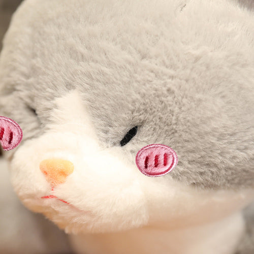 BowLift | Kawaii Grey Half Cat Half Shark Combo Plushie