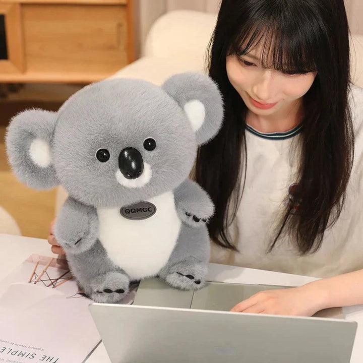 BowLift | Koko the Kawaii Koala Plushie