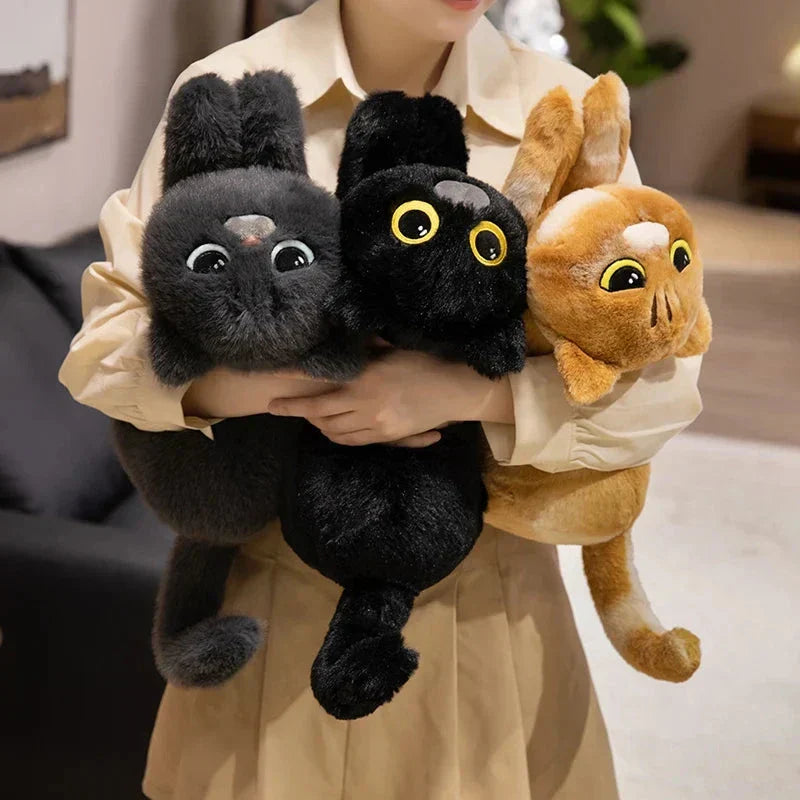 BowLift | Mochi, Marmie & Midnight – Sleepy Cat Plushies