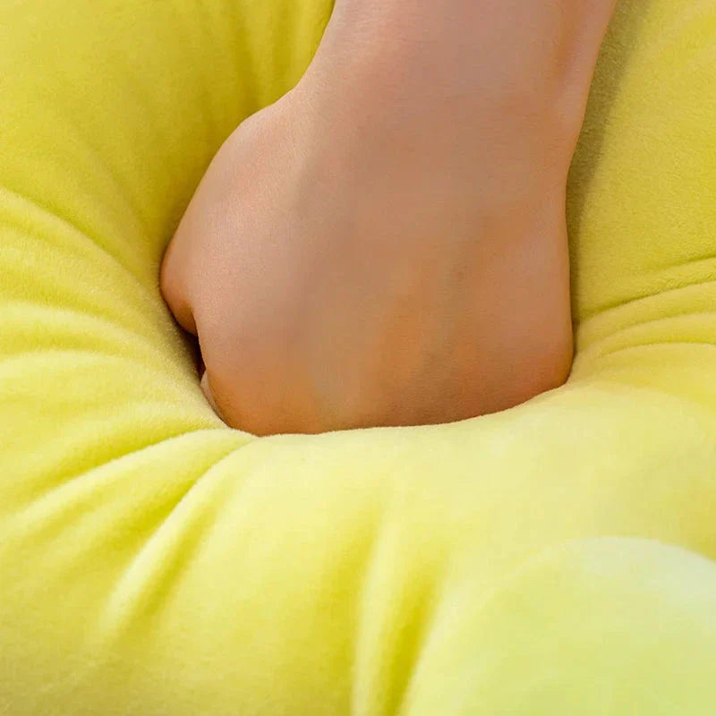 BowLift | Sunny & Shelly the Sea Turtle Plushies