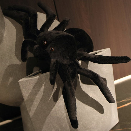 BowLift | Terry the Tarantula